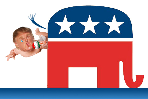 trump_birther