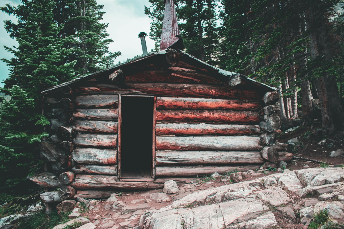 Shack in woods