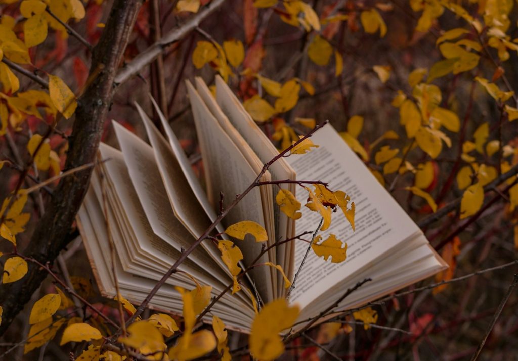book laying on leaves