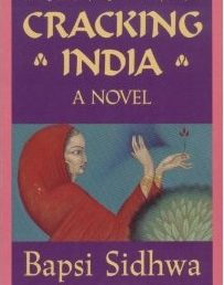 cracking_india