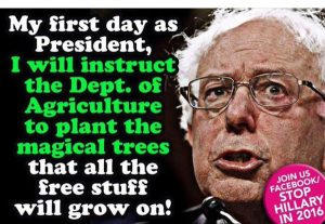 bernie9