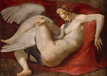 leda