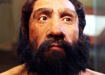 neanderthal