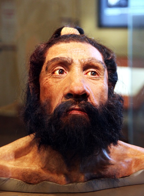 neanderthal