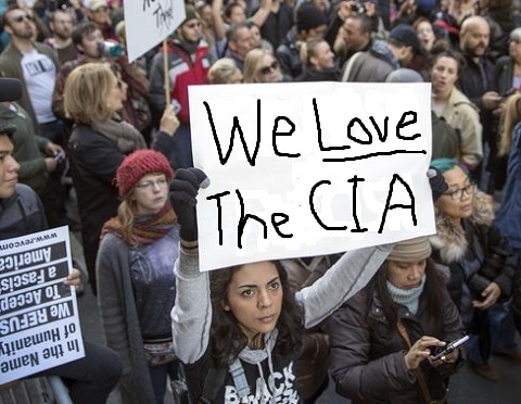 we-love-the-cia