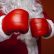 Santa with boxing gloves