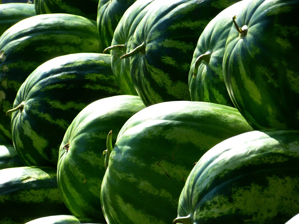 watermelons