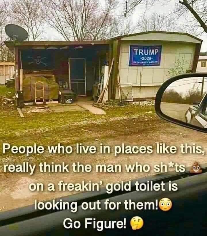 Trump shack
