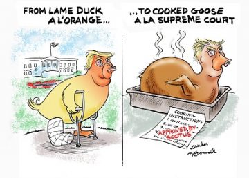 cooked goose
