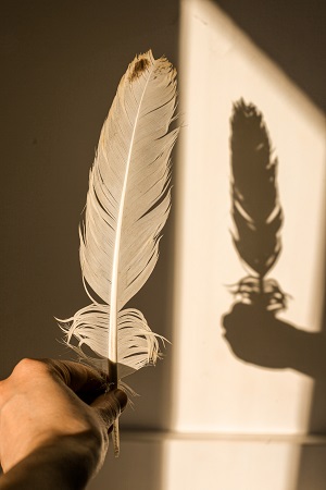 feather