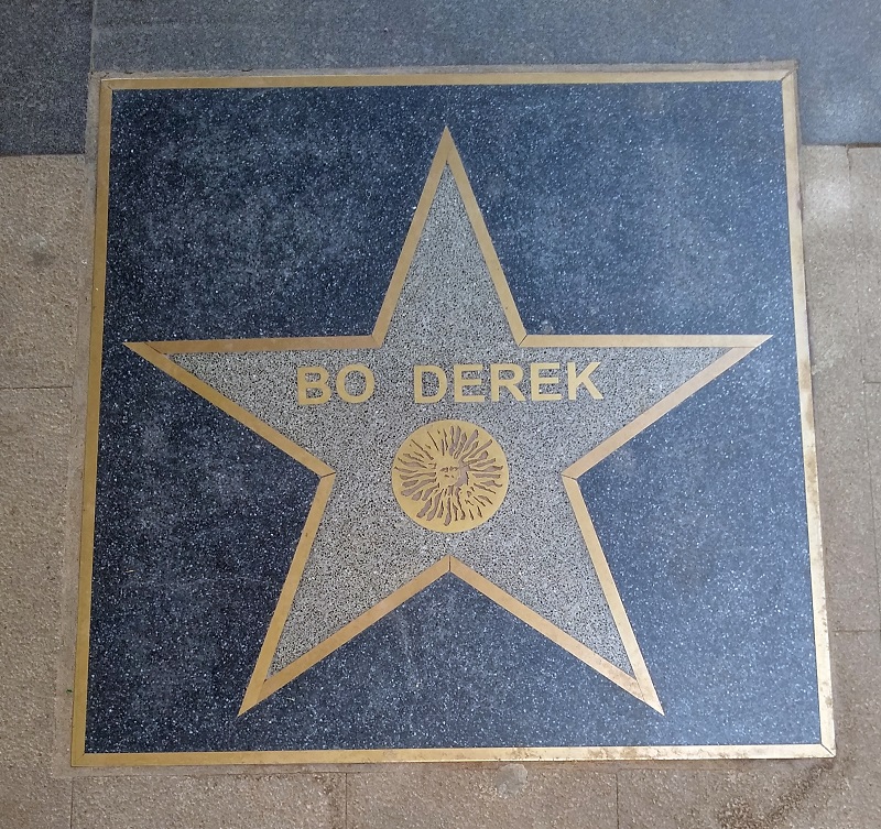Bo Derek star