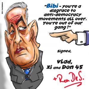 Bibi