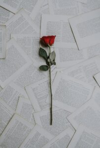 Rose on pages