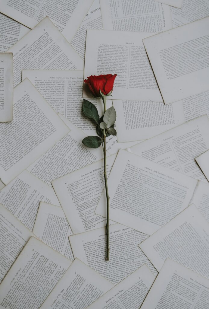 Rose on pages